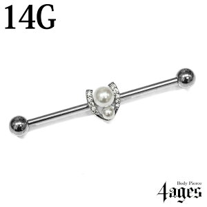 {fBsAX 14G z[XV[`[tp[tC_XgAo[x /  14Q[W Vo[ XeX Xg[go[x sAX Oo[x AM[Ή 