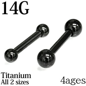 {fBsAX 14G T[WJ`^ Xg[go[x / 14Q[W ubN  sAX u sAX wbNX AM[Ή ςȂ ×p`^ PVD  킢