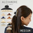 楽天市場 ヘアクリップ ヘアアクセサリー レディースジュエリー アクセサリー ジュエリー アクセサリーの通販
