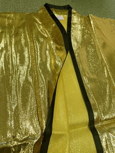 wHD̂悤ȑȂaۃnbs@菈i