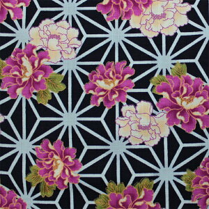 Vc lp ςDy̗tɉO/Znzm Vc [yVi ʔ Ղ Ղpi Ղߑ ߑ ƒ jtH[  HX j n