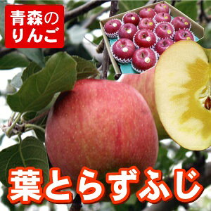 送料無料 葉とらず サンふじ 家庭用 5C箱(5kg箱:約12〜20個入) 竹谷りんご農園 青森りんご 蜜入りリンゴ 蜜入りりんご 訳あり 葉取らず 林檎 送料無料 ギフト 御歳暮 お歳暮 お歳暮ギフト お試