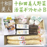 十和田美人活彩 お野菜 ギフトセット B 長いも ごぼう にんにく 青森県産お中元 2026 野菜プレゼント 食…