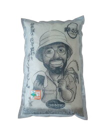 特別栽培米 お米 つがるロマン 5kg お中元 青森 お米 青森県産米 米販売5kg 送料無料米 米ギフト オシャレ 精米5キロ 玄米 胚芽米 白米 精米 お米ギフト 5キロ米 お米五キロ お米5kg 白米5キロ 玄米5k 玄米5キロ 玄米5kg 米 5キログラム おいしい玄米 美味しい玄米