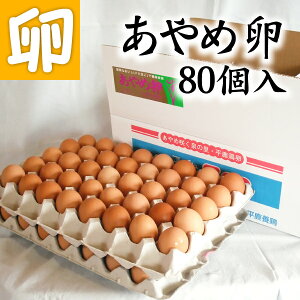 ߗ 80  p TKG ʎq ܂  ܂  ѐp܂ уMtg Mtg Z܂ Y݂ 