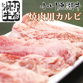 小川原湖牛 焼肉用 カルビ 450g(タレ付き) 青森 牛肉 黒毛和牛 高級肉 霜降り 和牛 肩ロース 厳選黒毛 和牛 牛肉切り落とし 牛肉ギフト 牛肉ステーキ 牛肉焼肉 牛肉ホルモン ハンバーグ 国産牛肉 すき焼き牛肉 すき焼きセット