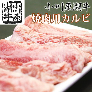 쌴΋ ēp Jr 450g(^t) X  јa  ~ a [X I a ؂藎Ƃ Mtg Xe[L ē z no[O Y