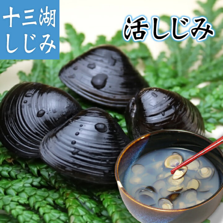 楽天市場 送料無料 青森県十三湖 しじみ貝 活 中粒 1kg 青森 あおもり ギフト 青森県産 名物 シジミ 蜆 しじみ汁無添加 しじみエキス しじみ味噌汁 お吸い物 ヤマトシジミ お中元 お歳暮 お中元ギフト 贈答品 贈答用 贈り物 国産しじみ 天然しじみ しじみスープ シジミ