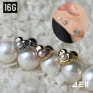 [T[WJ] tn[g^ (3color) 16G {fBsAX Lb` sAbVO sAX 16G T[WJ  av[g FB Mtg AM[ Ή