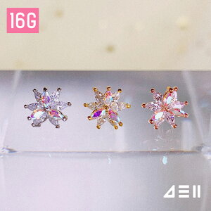 Winter Lights SMALL {fBsAX Lb` sAbVO sAX 16G T[WJ  av[g FB Mtg AM[ Ή