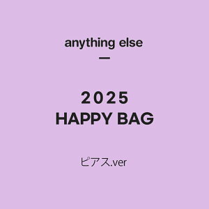 送料無料!【2025年!福袋】anything else ピアス.ver 金属アレルギー レディース プレゼント ギフト ピアス ネックレス 指輪 ブレスレット レディース