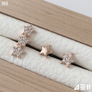 [T[WJ]X^[ (3Type 2Color) 16G {fBsAX Lb` sAbVO sAX 16G T[WJ  av[g FB Mtg AM[ Ή