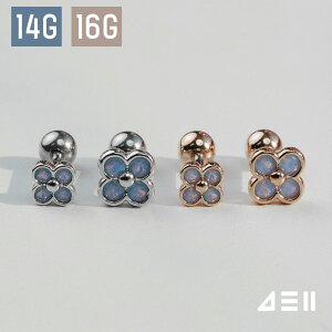 [T[WJ]~L[u[ N[o[ (2Color 2Size) 16G/14G{fBsAX Lb` sAbVO sAX 16G T[WJ  av[g FB Mtg AM[ Ή