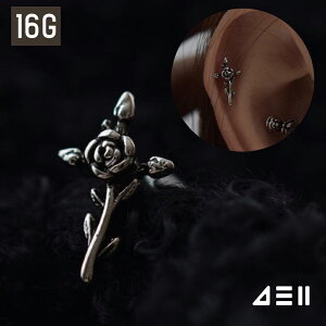 [T[WJ]AeB[N ΂ \ {fBsAX Lb` sAbVO sAX 16G T[WJ  av[g FB Mtg AM[ Ή