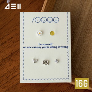 [5Zbg] [T[WJ]}[Kbg̉ 16G {fBsAX Lb` sAbVO sAXT[WJ  av[g FB Mtg AM[ Ή