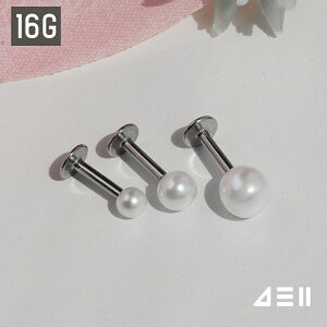 [T[WJ]^ ubg (3TCY) 16G 6mmo[ 8mmo[ {fBsAX Lb` sAbVO sAX 16G T[WJ  av[g FB Mtg AM[ Ή