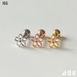 [T[WJ]C fCW[ sAbVO 16G (3Color) {fBsAX Lb` sAbVO sAX 16G T[WJ  av[g FB Mtg AM[ Ή