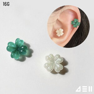 [T[WJ]AN N[o[ (2Color) {fBsAX Lb` sAbVO sAX 16G T[WJ  av[g FB Mtg AM[ Ή