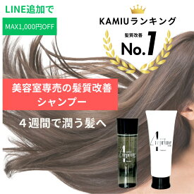 シャンプー 美容室専売品トリートメント トラベルセット 各100ml 美容室専売品 【KAMIU髪質改善シャンプーランキング1位】 旅行 トラベル用 お風呂 持ち運び ジム 海外旅行 ミニボトル トライアル 出張 入院 美髪 縮毛矯正 エイジングケア 保湿 ノンシリコン 髪質改善 お試し