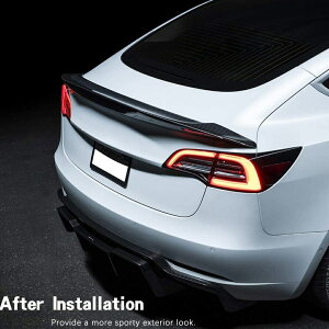 TESLA eX f3p VRS J[{ gNX|C[ AX|C[ J[{X|C[ AECO J[{ECO D V^Ci[ MODEL3 lC ptH[}X JX^ GA