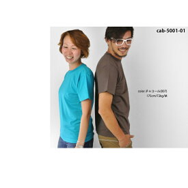 tシャツ 無地 ムジtシャツ メンズ ユニセックス 半袖 カットソー ティーシャツ 4u [M便 1/1]