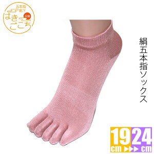 y{zsܖ{w\bNXXj[J[ t 5{wC ₦C  z fB[X C ܖ{w\bNX 5{w\bNX O\h Xj[J[ ^C v[g Mtg 