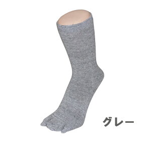 y{zsO{wC ȃR[} N[t fB[X C OT|[^[ у\bNX  ۉ z AN O tbgPA[ T|[g Mtg v[g 