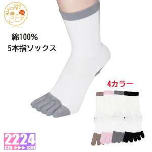 y{zs100炳N[ 5{w\bNXtLbY@fB[X C Ȃ O\h ۉ z ܖ{w 5{w ܖ{w\bNX 5{w\bNX C  w  