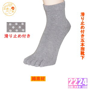 y{zs ~ߕt 5{w\bNX [N[tȑf fB[X z hL ܖ{wC 5{w\bNX Ȃ O _炩 ׂ~ 5{w\bNX  w  