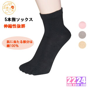 y{zs 5{w\bNX LkQ [N[tȑf fB[X z hL ܖ{wC 5{w\bNX Ȃ O _炩 5{w\bNX  w  