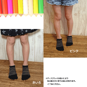 y{zCOOLMAXs5{w LbY yV{[_[@Xj[J[ \bNXt̓ LbY q qǂ C   Ȃ z N[}bNX O\h ܖ{w 5{w\bN