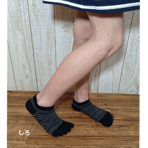 y{zCOOLMAXs5{w LbY yV{[_[@Xj[J[ \bNXt̓ LbY q qǂ C   Ȃ z N[}bNX O\h ܖ{w 5{w\bN