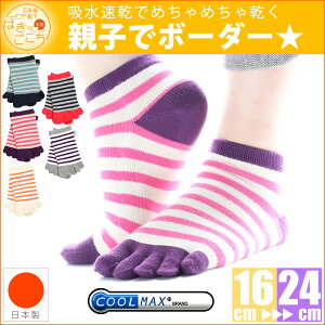 y{zCOOLMAX Kis5{w {[_[ Xj[J[\bNXtNX}X LbY fB[X qp qǂp C  ܖ{w Ȃ  z O\h ܖ{w\bNX 5