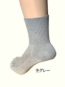 y{zsu҂݌ܖ{wȃR[}\bNXt̓Mtg  ₦Ƃ ₦΍  fB[X Y C ܖ{w O\h ܖ{w\bNX Mtg v[g u҂