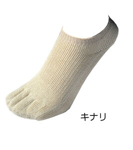 y{zȖV[Nbg ̕҂ s5{w Ԃ \bNXt̓ S[Xg@C Ȃ Y fB[X  z O\h ܖ{w\bNX 5{w\