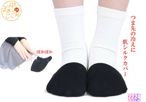 y{z@₦C  fB[XsVN n[t\bNXt[֑@₦Ƃ C O ₦΍@ܐ Ci[\bNX@@d˗ 