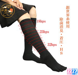 y{z@RہEہEL ␢EsnCQ[W 5{w  rnC\bNXt̓Mtg fB[X Y ܖ{wC C ނ h~ z ܖ{w O\h ܖ{w tbg