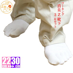 y{zLCs5{w LCZ 3Zbgt̓Mtg LC jICh~ hL C  zCg ʋ ʊw  Ɨp XN[ fB[X Y WjA@[֑