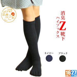 y{zsLCZ 5{w nC\bNXt̓Mtg LbY Y fB[X C ܖ{w O\h ͏L@@LY Mtg v[g