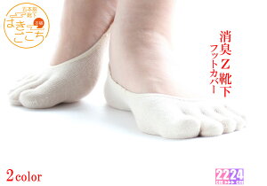 y{zsLCZ 5{w tbgJo[\bNXtɂȂ LȂ L z ׂ~ߕt pvXC fB[X C ܖ{w O\h  w   Mtg v[