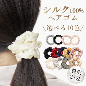 ＼最大50％OFF！期間限定・店内全品対象／贅沢密度の22匁 シルク ヘアゴム シュシュ シルク100％ 髪にやさしい 跡が付きにくい ヘアケア 美髪 ヘアゴム 大人っぽい シュシュ ヘアアクセサリー 髪留め 毛崩れにくい 髪に優しい 送料無料