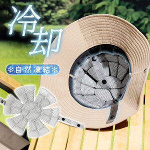 Xqpp ObY MǑ΍ ACVO zMf ڐG⊴ X|[cϐ ʋ ʊw AEghɂ