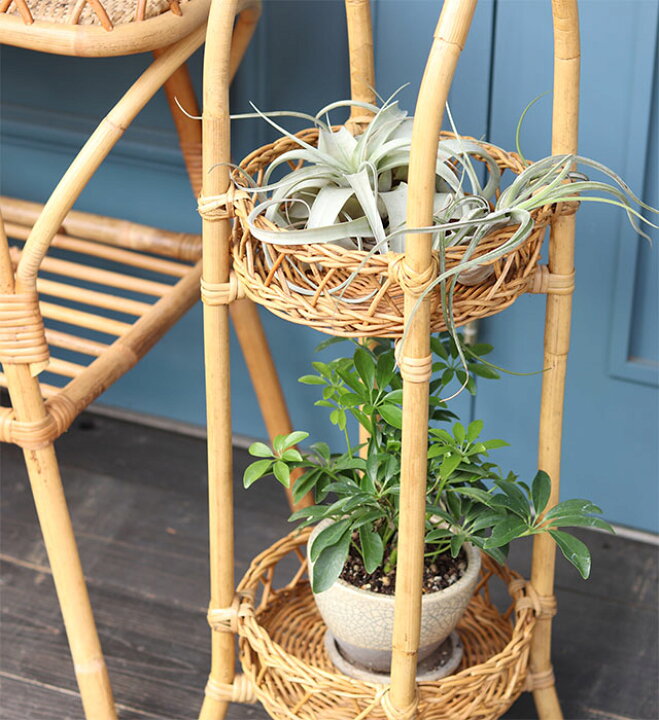 楽天市場 公式 梅雨対策グッズ03 ユグラ 2段フラワースタンド Juglas 500works 植物 スタンド ラック 花台 プランター ラック ガーデニング室内 おしゃれ 台 収納 観葉植物置く台 植木 北欧 ナチュラル 軽い Creer クレエ Igf Five Hundred Works 楽天市場 公式 梅雨対策グッズ03 ユグラ 2段フラワースタンド Juglas 500works 植物 スタンド ラック 花台 プランター ラック ガーデニング室内 おしゃれ 台 収納 観葉植物置く台 植木 北欧 ナチュラル 軽い Creer クレエ Igf Five Hundred Works