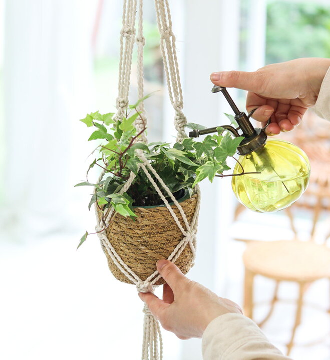 １００均diy 初心者でも簡単 プラントハンガーの作り方 ロープで植物ハンギング マクラメ エイトインテリアジャーナル 2個のマクラメ 植物ハンガー ハンギングプランターバスケットコットンロープ Wilsonvillecoc Com