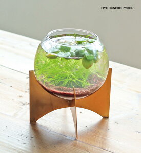 yzKX{Ex[X STCY(inbloom) 500WORKSV[P[X KX KXJo[ fBXvCP[X eEGAvc KX KXP[X  [ ANZT[[ Cree