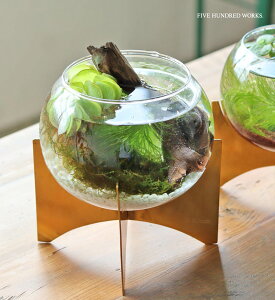 yzKX{Ex[X LTCY(inbloom)500WORKS.V[P[X KX KXJo[ fBXvCP[X eEGAvc KX KXP[X  [ ANZT[[ Cree