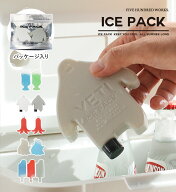 【公式】 保冷剤 保冷 お弁当 おべんとう 弁当箱 夏 ランチ ランチ小物 ひんやり クール ハード ハードタ…