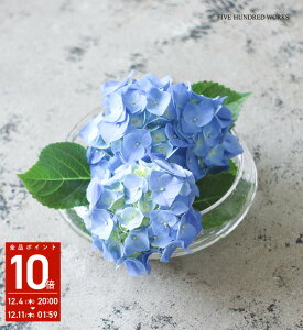 yzVi[x[X nChWA(Sceneryvase)500WORKS.ԕr KX k тt[x[X Ԋ ԉ A KXx[X i` k eE Creer/NG IGF WPM