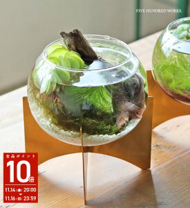 yzKX{Ex[X LTCY(inbloom)500WORKS.V[P[X KX KXJo[ fBXvCP[X eEGAvc KX KXP[X  [ ANZT[[ Cree