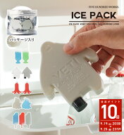 【公式】保冷剤 お弁当 保冷 グッズ 2個セット 保冷剤 かわいい アイス パック 繰り返し使える コンパク…